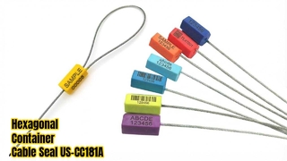 Les câbles hexagonaux jetables scellent les emballages sécurisés