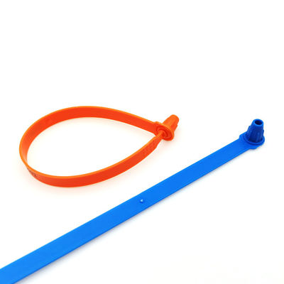 Container logistique joints en plastique US-PS250FL Container à bande de plastique de longueur fixe