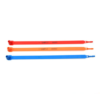 Container logistique joints en plastique US-PS250FL Container à bande de plastique de longueur fixe
