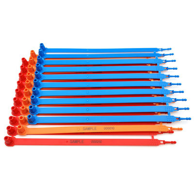 Container logistique joints en plastique US-PS250FL Container à bande de plastique de longueur fixe
