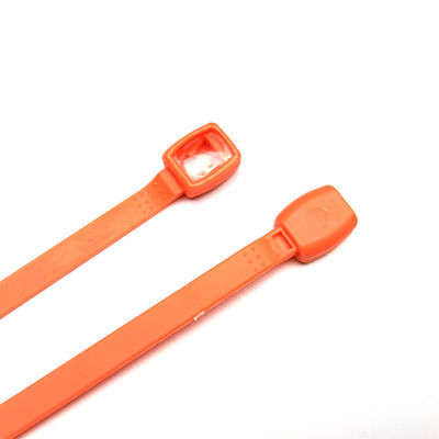 Charge sécurisée avec notre sceau en plastique de logistique indicative Longueur totale 222 mm